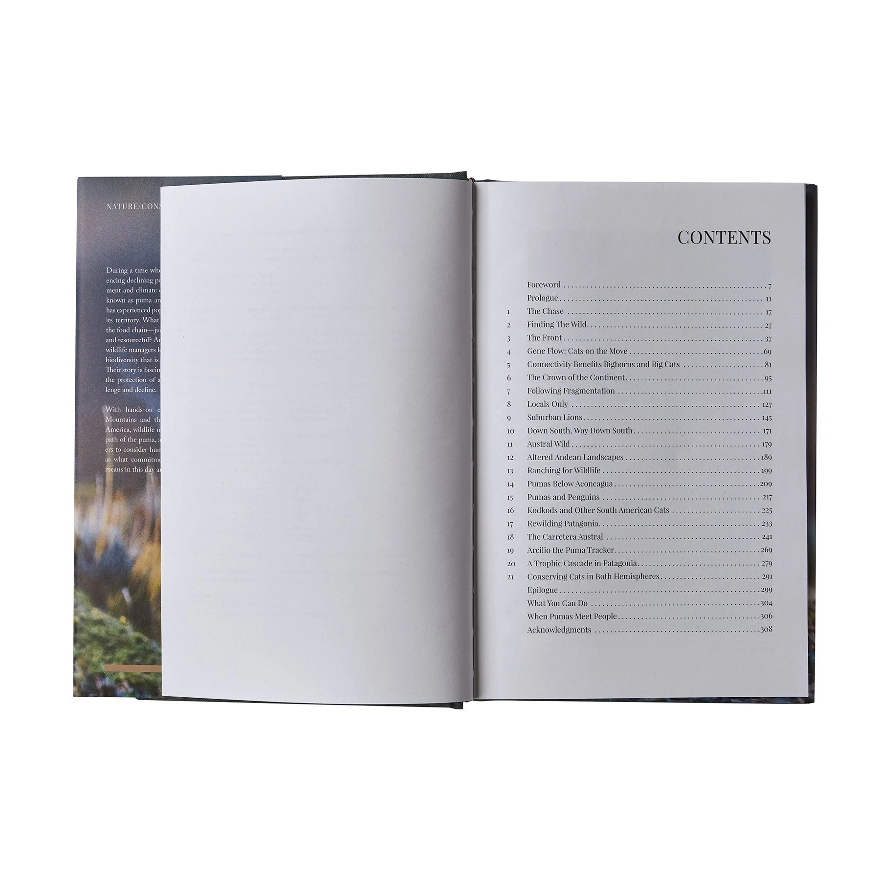 Path of the Puma: The Remarkable Resilience of the Mountain Lion (hardcover book) - Image 11