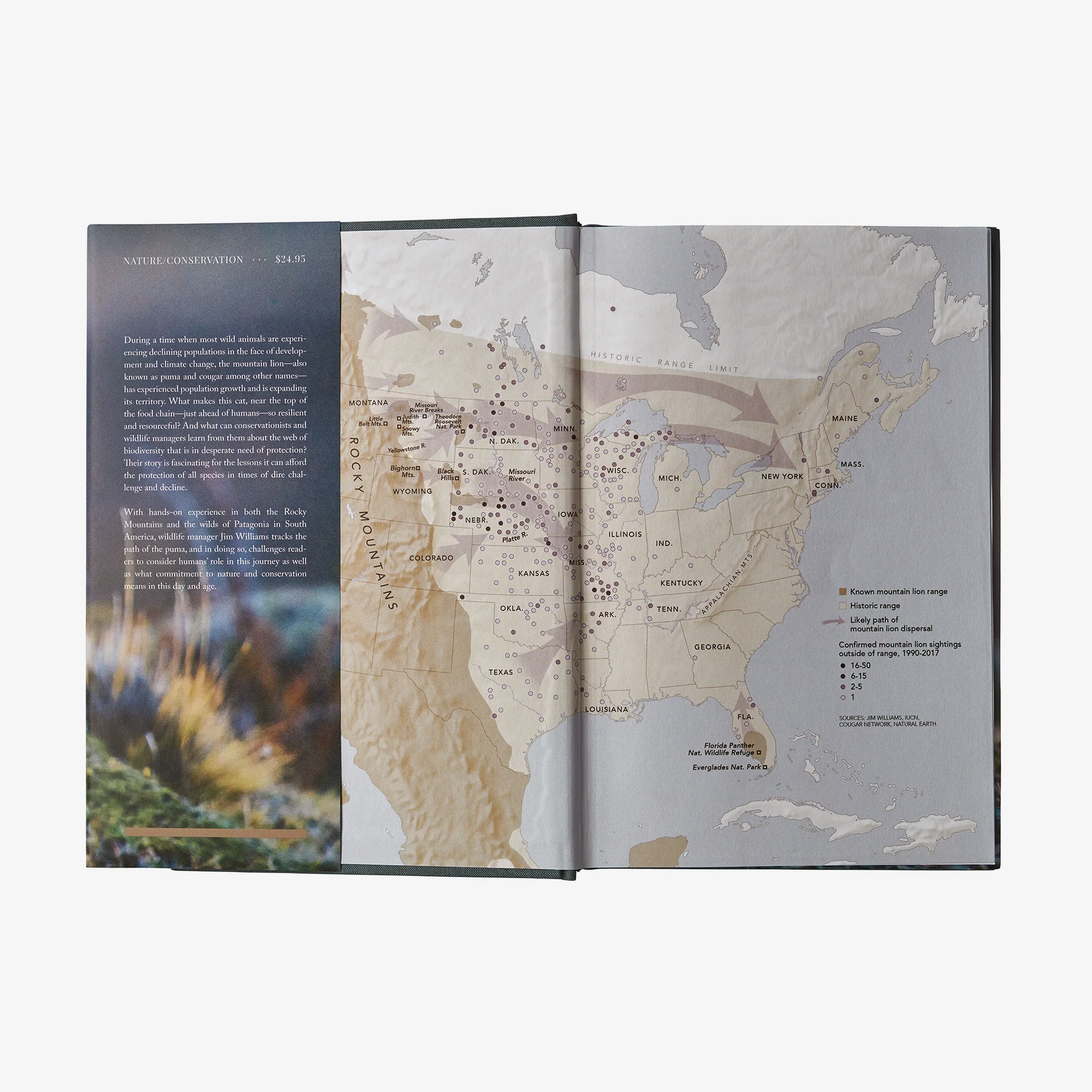 Path of the Puma: The Remarkable Resilience of the Mountain Lion (hardcover book) - Image 2