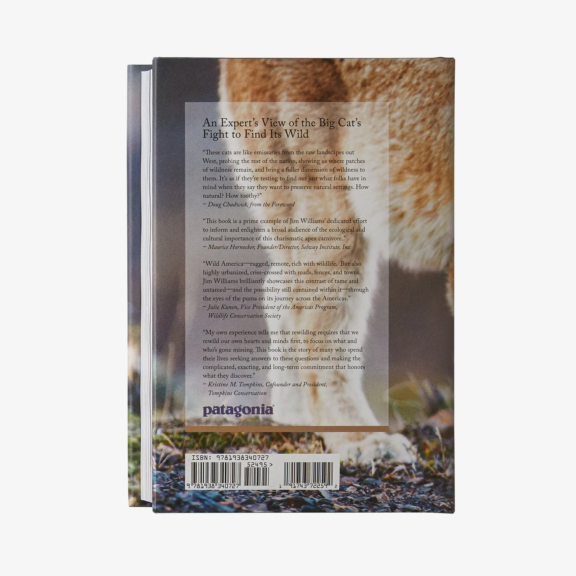 Path of the Puma: The Remarkable Resilience of the Mountain Lion (hardcover book) - Image 7