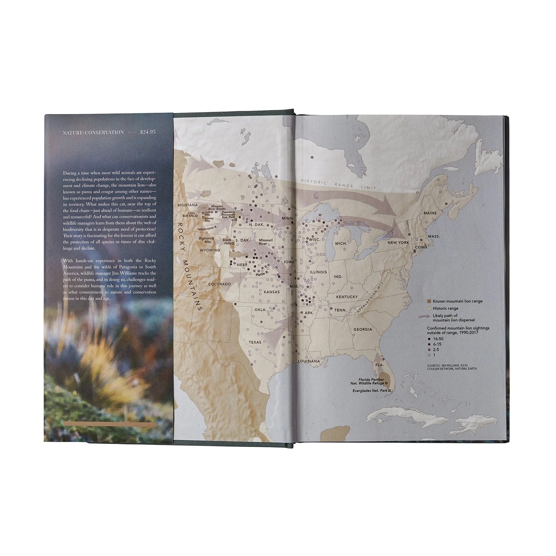 Path of the Puma: The Remarkable Resilience of the Mountain Lion (hardcover book) - Image 8