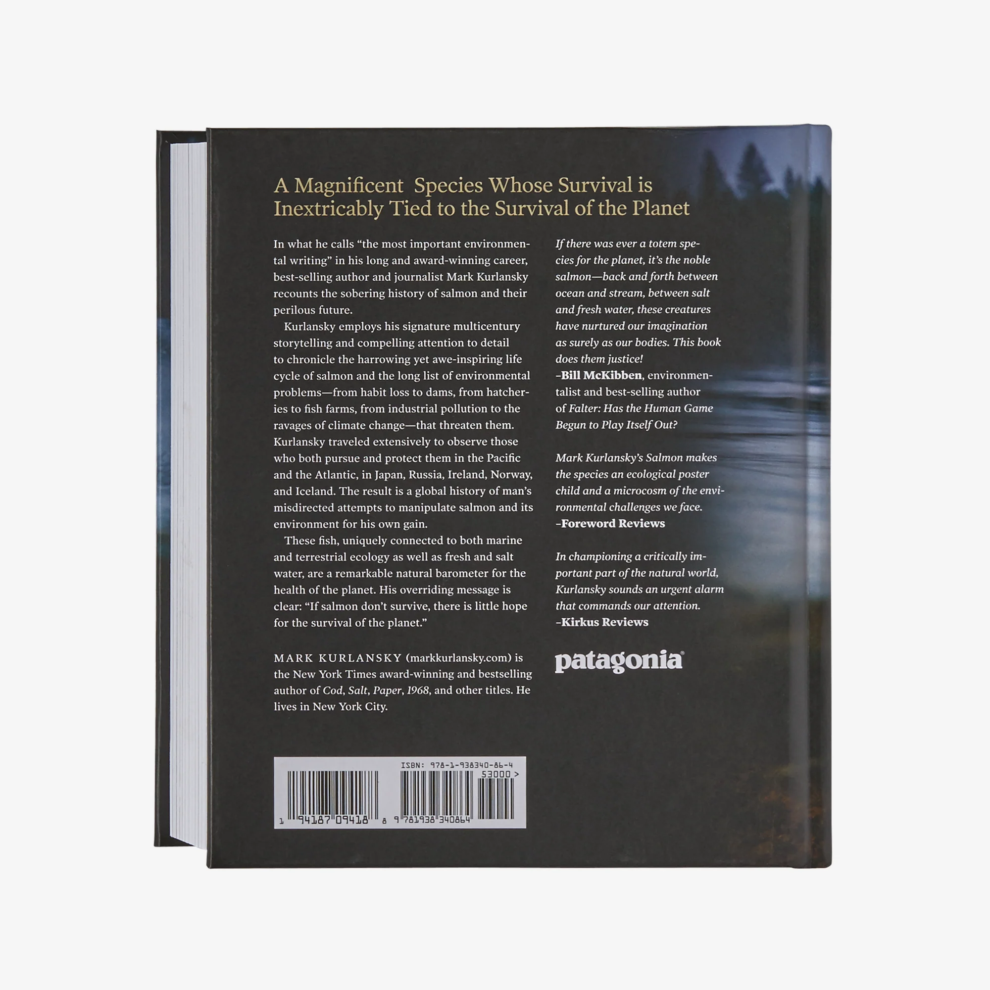 Salmon: A Fish, the Earth and the History of Their Common Fate (hardcover book published by Patagonia) - Image 2