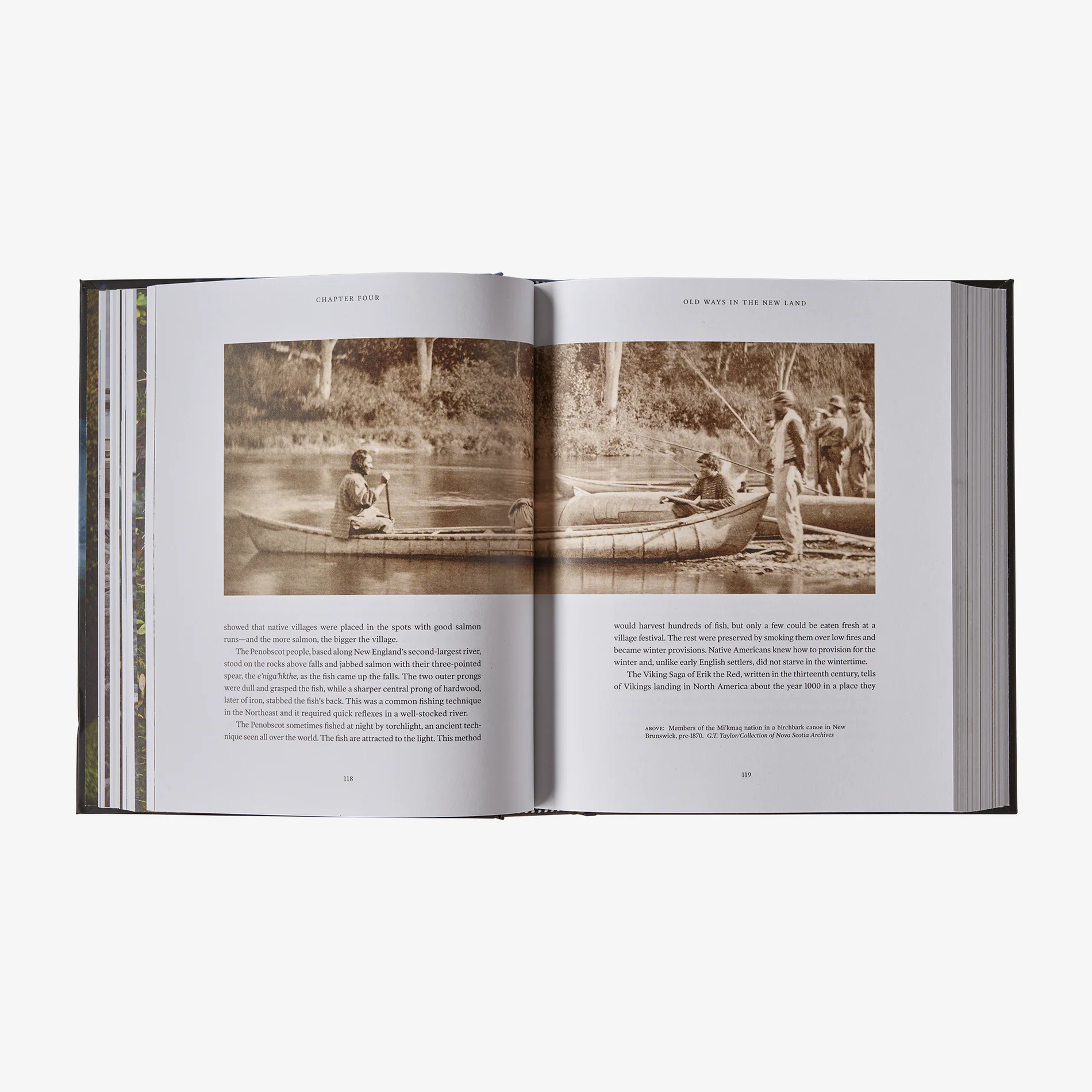 Salmon: A Fish, the Earth and the History of Their Common Fate (hardcover book published by Patagonia) - Image 5