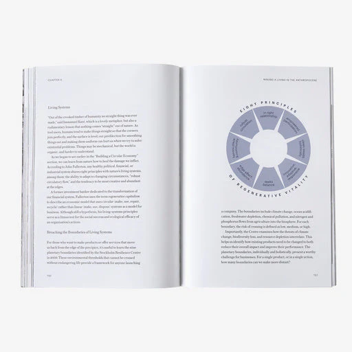 The Future of the Responsible Company: What We've learned from Patagonia's First 50 Years (by Yvon Chouinard & Vincent Stanley) - Image 10