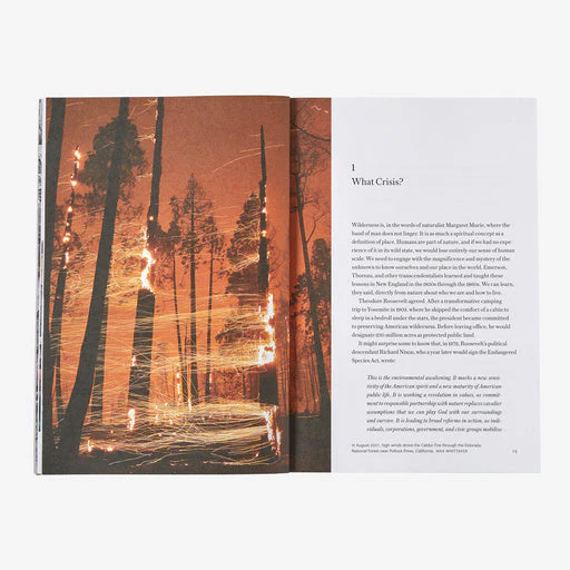 The Future of the Responsible Company: What We've learned from Patagonia's First 50 Years (by Yvon Chouinard & Vincent Stanley) - Image 6