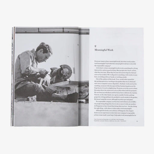 The Future of the Responsible Company: What We've learned from Patagonia's First 50 Years (by Yvon Chouinard & Vincent Stanley) - Image 7