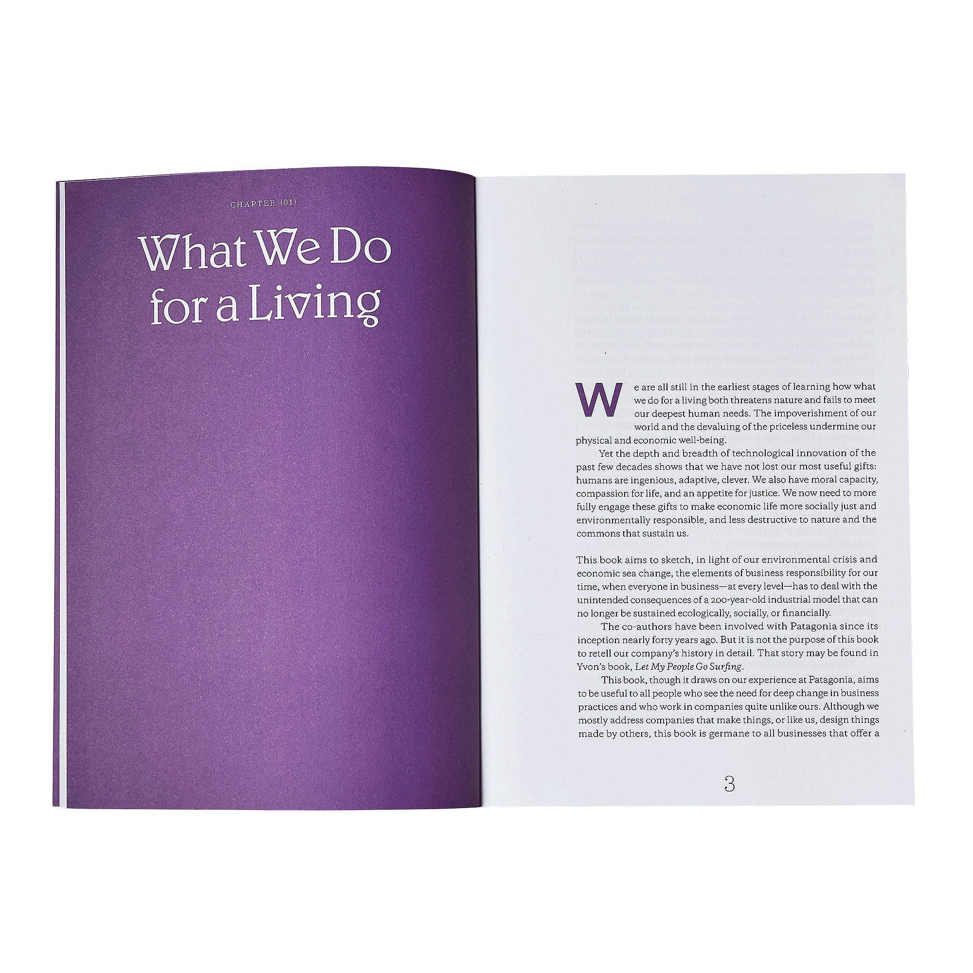 The Responsible Company: What We've learned From Patagonia's First 40 Years by Yvon Chouinard & Vincent Stanley (Patagonia paperback book) - Image 2