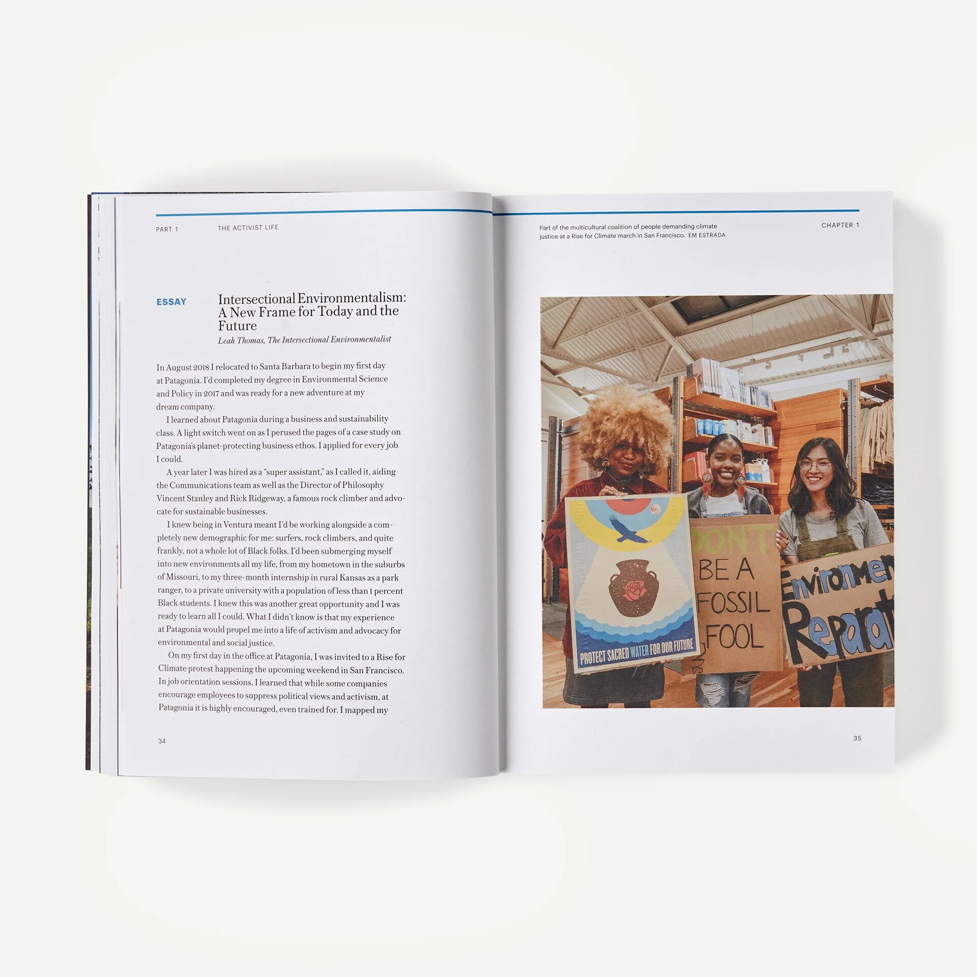 Tools to Save Our Home Planet: A Changemaker's Guidebook (edited by Nick Mucha, Jessica Flint, and Patrick Thomas) - Image 8
